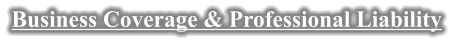 Business Coverage & Professional Liability